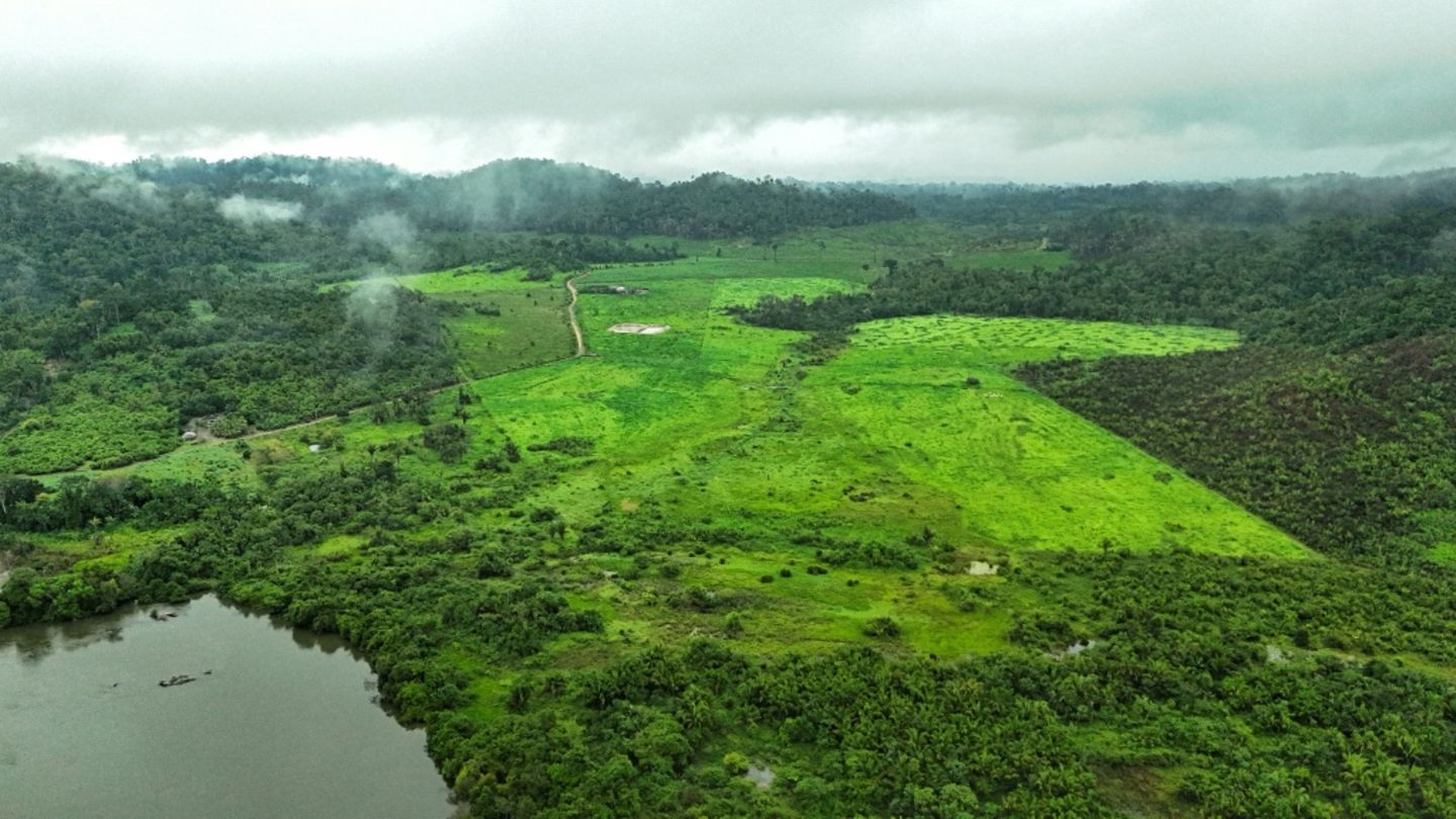 Brasilien hat mit 60 Prozent den größten Amazonas-Anteil