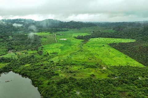 Brasilien hat mit 60 Prozent den größten Amazonas-Anteil