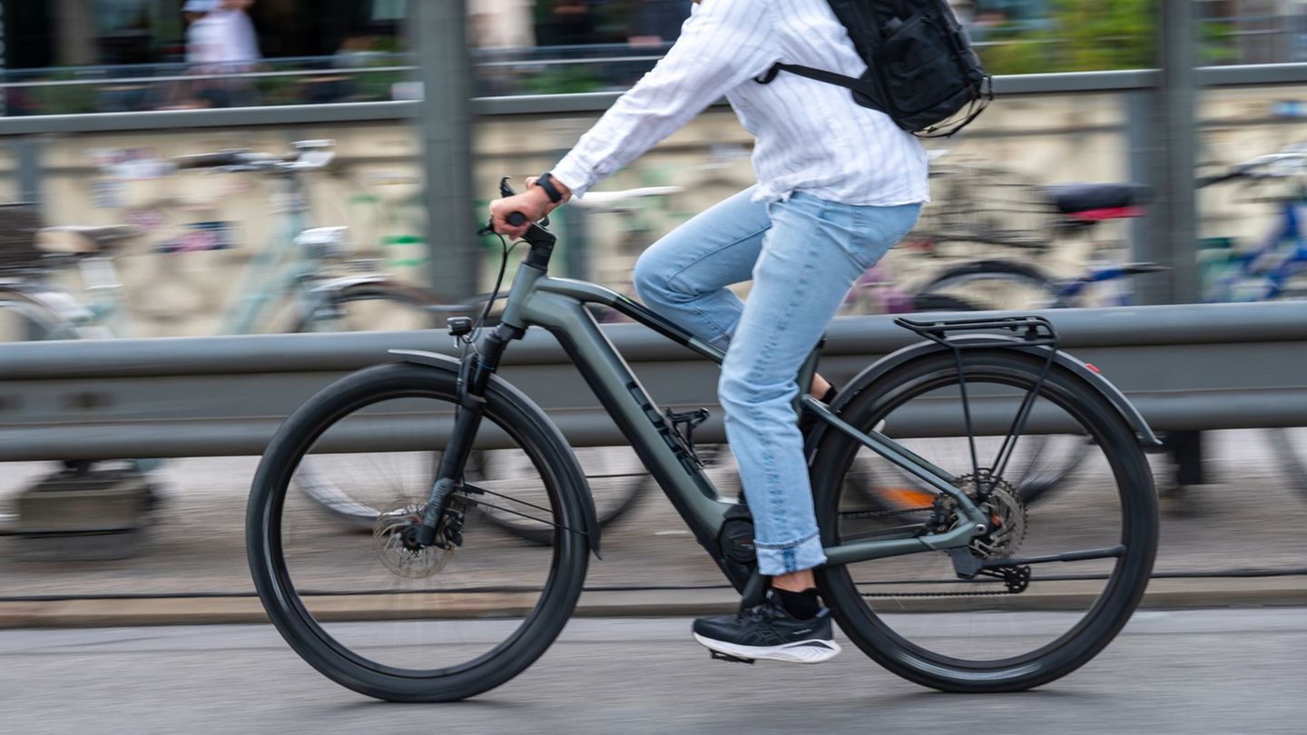 E-Bike oder Pedelec? (Symbolbild) Foto: Leonie Asendorpf/dpa