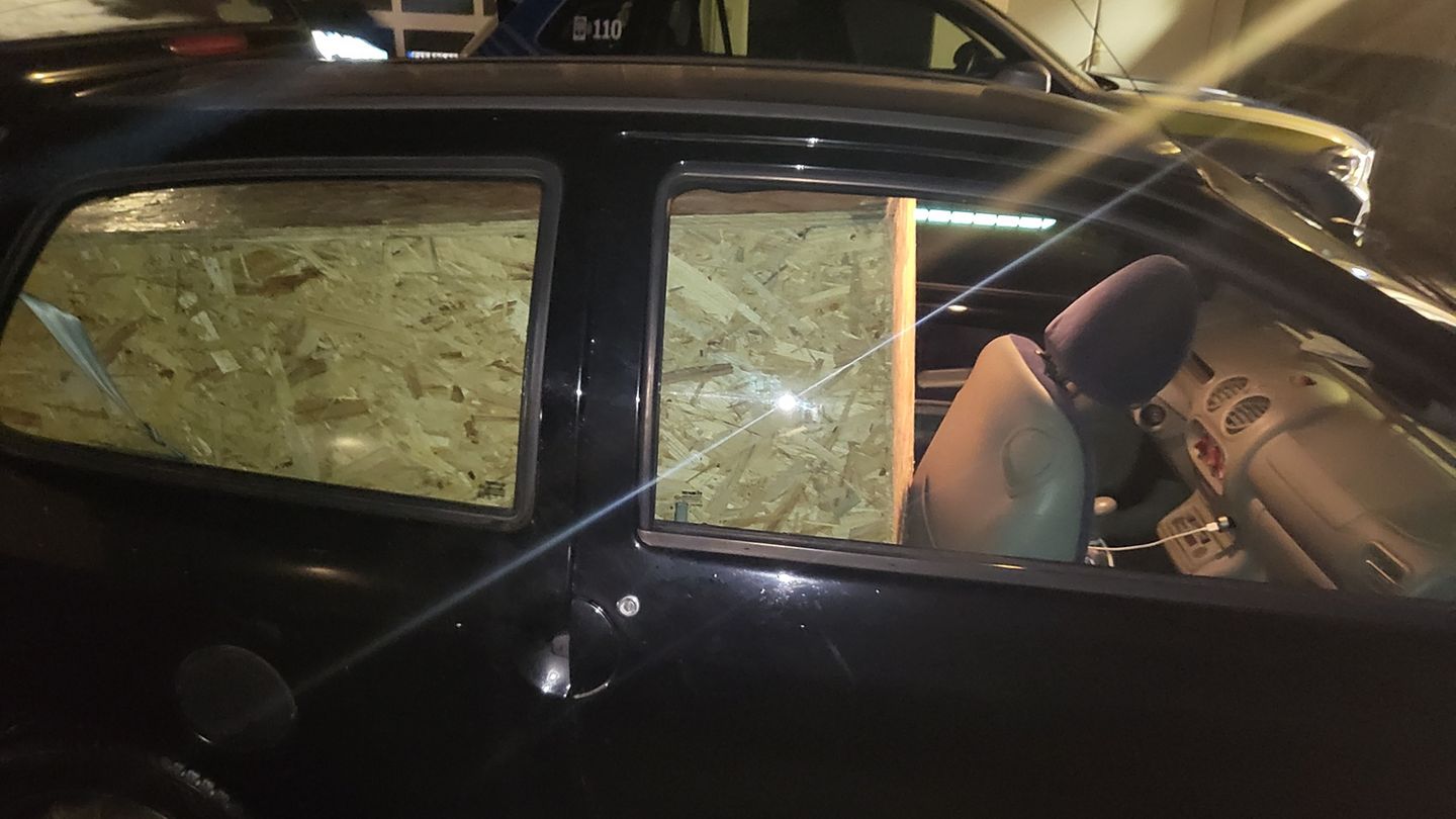 Tier im Auto: Holzkiste mit Puma darin