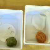 ... so auch diese Frösche, die der 36-jährige Fahrer in seinem Pkw versuchte einzuschmuggeln. Gegen den Mann wurde ein Strafverfahren eingeleitet, die Tiere kamen zunächst in einer Reptilienauffangstation unter