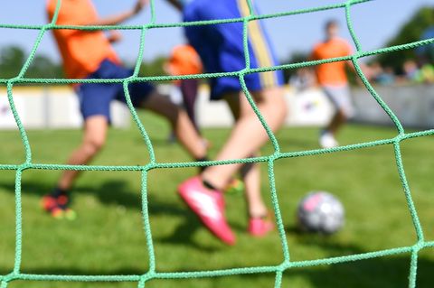 Die Sportvereine verzeichnen mehr Mitglieder. (Symbolbild) Foto: Uwe Anspach/dpa