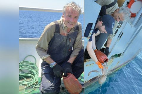 "Hannes Jaenicke im Einsatz für den Oktopus": Im Rahmen der "Sea Shepherd"-Kampagne in Griechenland befreien Hannes Jaenicke u