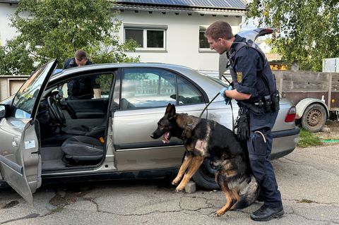 Ein Polizist durchsucht ein Fahrzeug mit einem Hund. Foto: Nico Pointner/dpa