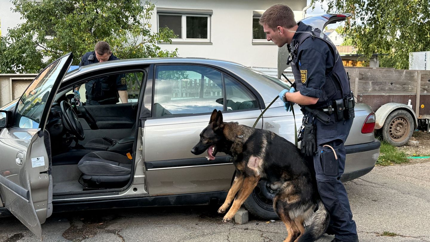 Ein Polizist durchsucht ein Fahrzeug mit einem Hund. Foto: Nico Pointner/dpa