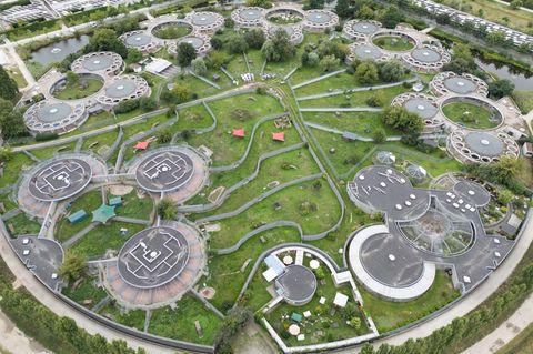 Im Dezember 2024 gab es schon mal einen Ausbruch der Krankheit im Berliner Tierheim. (Archivbild) Foto: Sebastian Gollnow/dpa