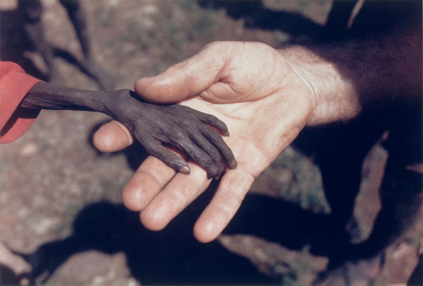 Das erschütternde Bild zeigt die Hand eines hungernden Jungen, gehalten von der eines katholischen Mönchs in Uganda 1980. Die Aufnahme entsteht im Nordosten des Landes, in der Region Karamoja, wo eine beispiellose Hungerkatastrophe infolge von Dürren und brutalen Gewaltkonflikten herrscht. 20 Prozent der Bevölkerung sterben innerhalb eines Jahres an Unterernährung, unter den Opfern sind mehr als die Hälfte aller Kleinkinder   