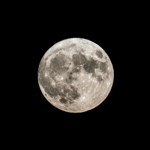 Einmal Richtung Mond, bitte: Die Nase sammelt Namen von Freiwilligen für die nächsten Mondmission Nasa-Mondmission-Symbolbild: Nahaufnahme vom Mond am Nachthimmel