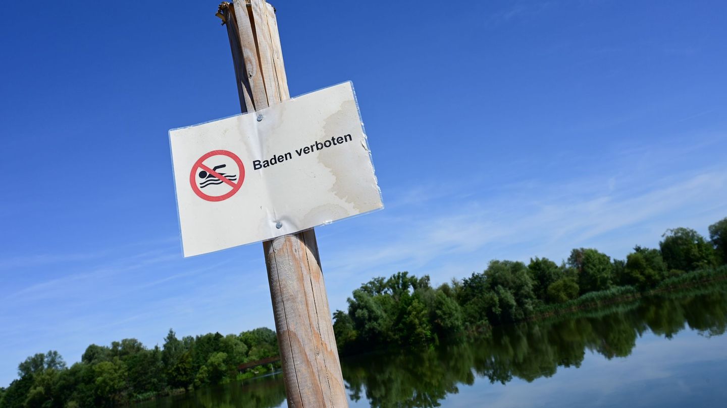 Wer im Rothsee badet, riskiert Durchfall und Ausschlag. (Archivbild) Foto: Uwe Zucchi/dpa