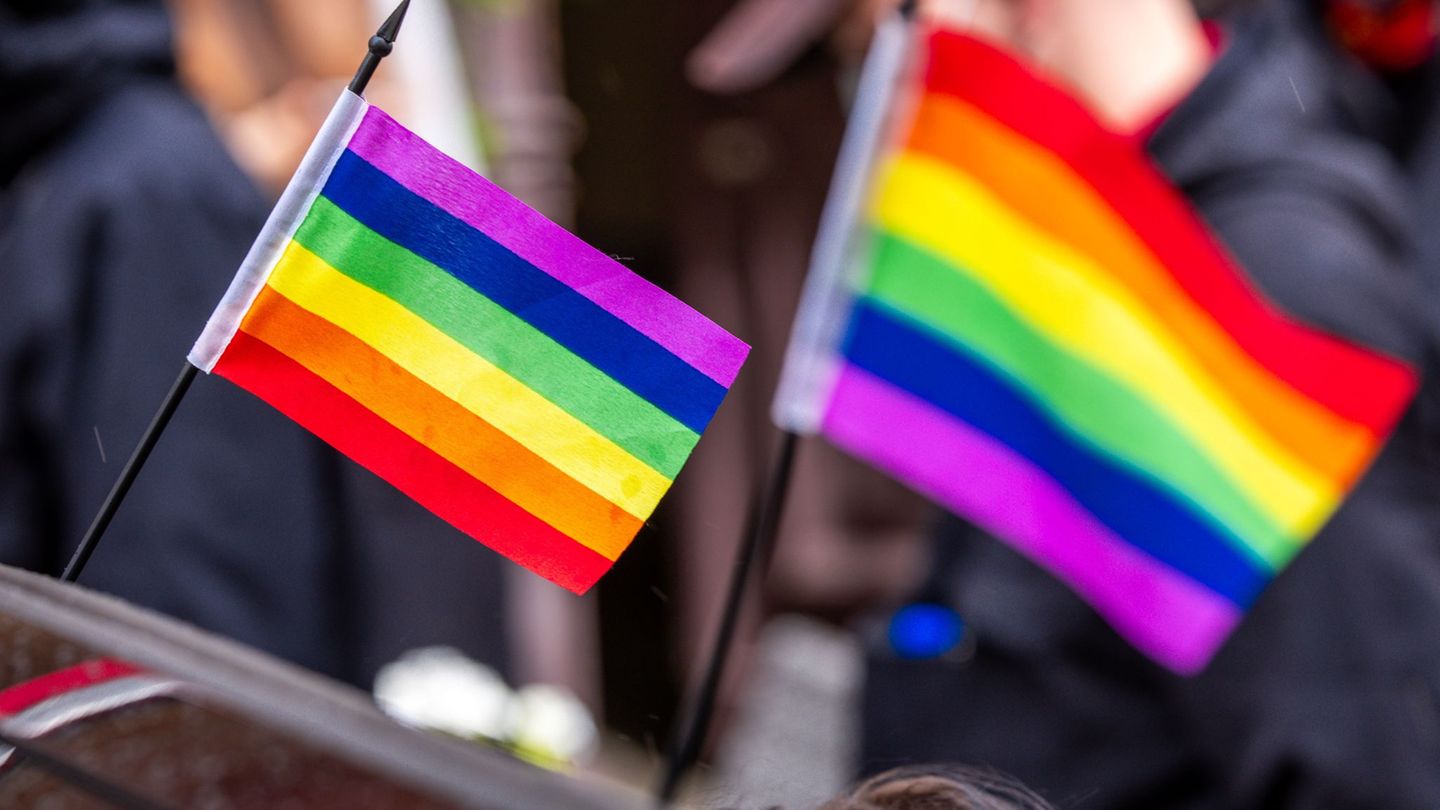 Eine Regenbogenfahne soll Auslöser für eine Körperverletzung gewesen sein (Archivbild) Foto: Jens Büttner/dpa