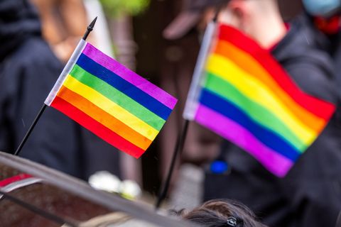 Eine Regenbogenfahne soll Auslöser für eine Körperverletzung gewesen sein (Archivbild) Foto: Jens Büttner/dpa