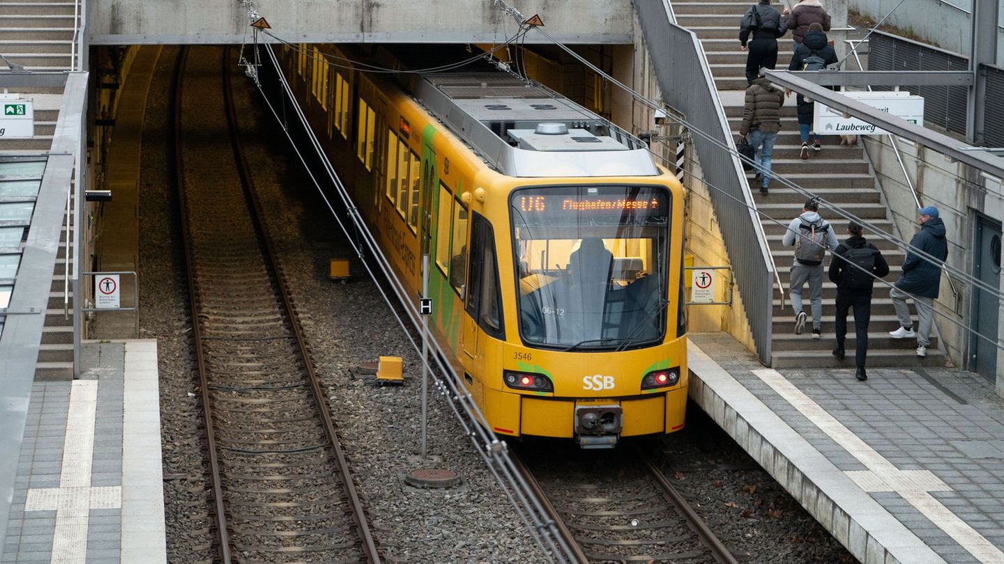 Eine junge Frau attackierte eine Kontrolleurin und floh über die Gleise – doch die Flucht blieb kurz. (Symbolbild) Foto: Helena