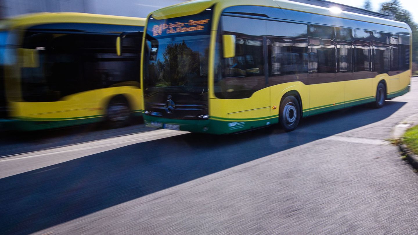 Nach Angaben von Stefan Sternberg (SPD) ist das Deutschland-Ticket für das Nahverkehrsunternehmen seines Landkreises ein Verlust