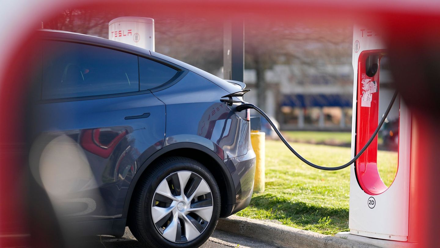 Der Türmechanismus der Teslas wird elektrisch ausgelöst. (Archivbild) Foto: Mike Stewart/AP/dpa