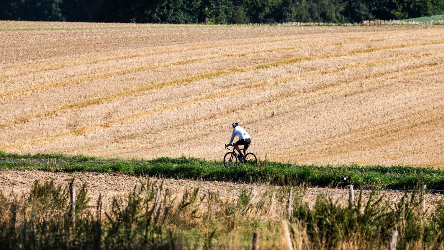 Freitag und Samstag eignen sich perfekt für spätsommerliche Ausflüge (Symbolbild) Foto: Thomas Banneyer/dpa