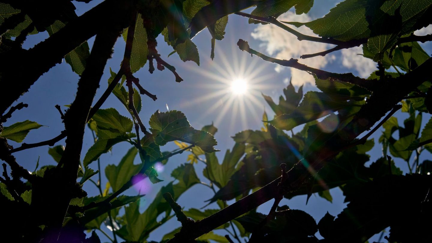 Die nächsten Tage werden sonnig und sommerlich warm. (Symbolbild) Foto: Sascha Ditscher/dpa