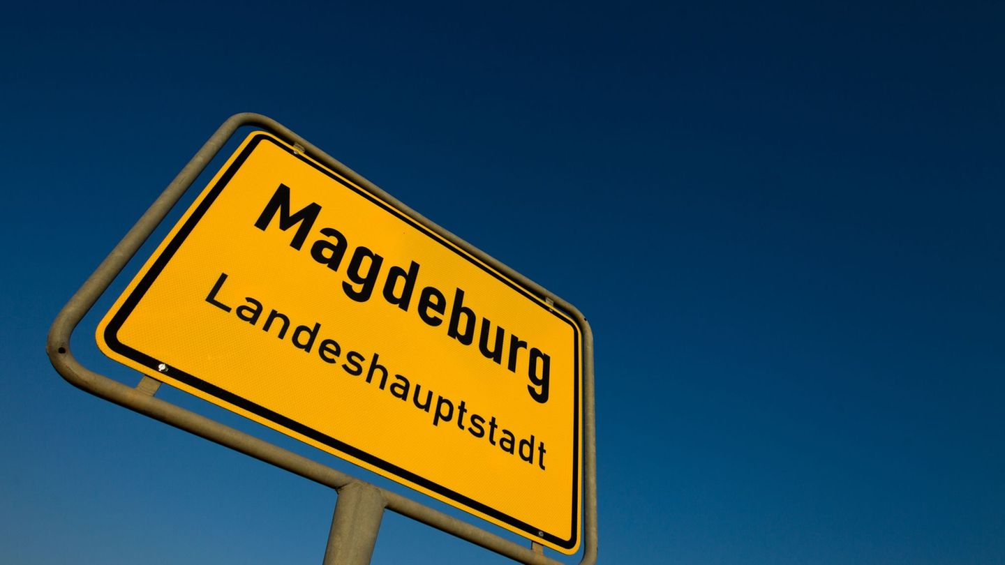 Autofahrer meldeten der Polizei das falsche Schild. (Symbolbild) Foto: Jens Wolf/dpa-Zentralbild/dpa