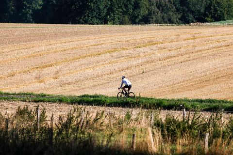Freitag und Samstag eignen sich perfekt für spätsommerliche Ausflüge (Symbolbild) Foto: Thomas Banneyer/dpa