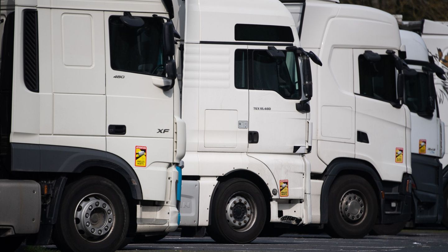 In Deutschland wächst seit Jahren der Bestand an Nutzfahrzeugen und Lastwagen. (Symbolbild) Foto: Sebastian Gollnow/dpa