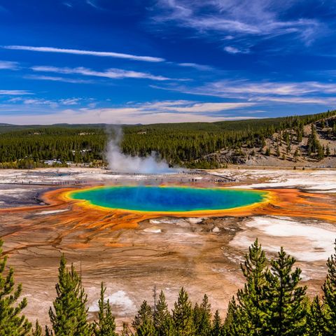 Yellowstone