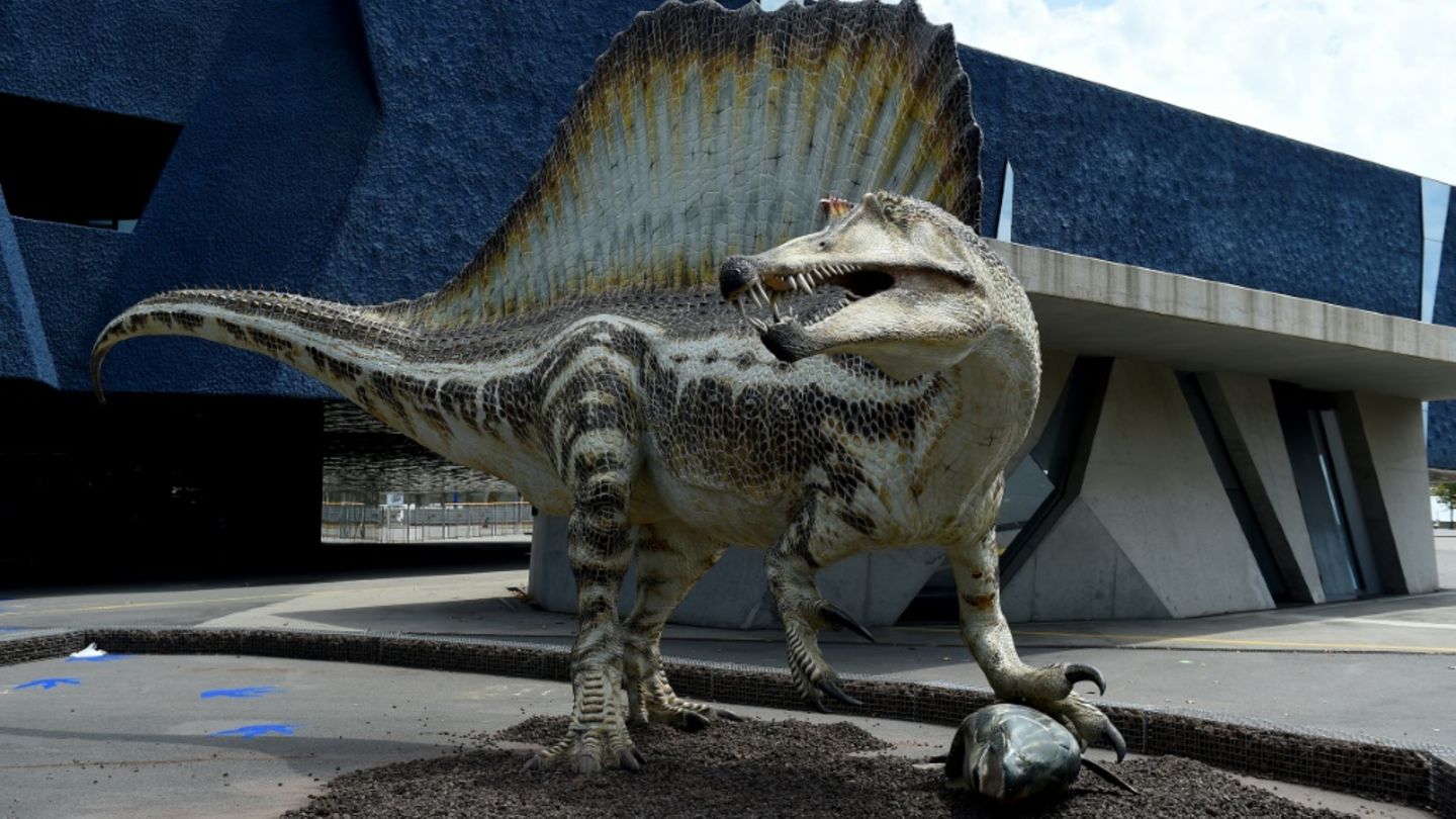 Model von Spinosaurus