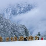 Schon am ersten Advent versammeln sich die Strohbuttnmandln auf einem Hügel bei Loipl, wo das Buttnmandllaufen seinen Anfang nimmt