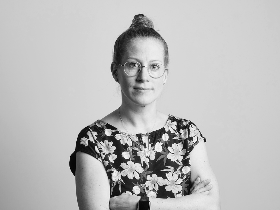 Anna Scheibe