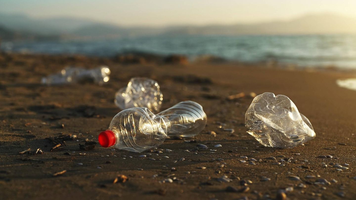 Plastikflaschen an einem Strand Pilze Plastikflaschen an einem Strand Pilze