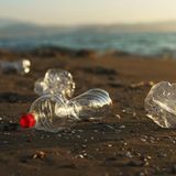 Plastikflaschen an einem Strand Pilze