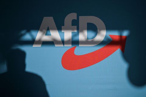 Die rechtsextreme AfD schneidet in einer aktuellen Umfrage gut ab