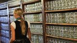 Natürlich sind auch die Bierpreise wieder gestiegen: Eine Maß kostet in diesem Jahr zwischen 14,50 Euro und 15,80 Euro