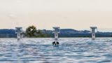 Freudenstadt, Deutschland. Die Freibadsaison ist zu Ende, zumindest für Menschen. Im Panorama-Freibad in Baden-Württemberg dürfen deshalb jetzt zeitweilig Hunde von den Startblöcken und vom Beckenrand springen. Was es nicht alles gibt ...