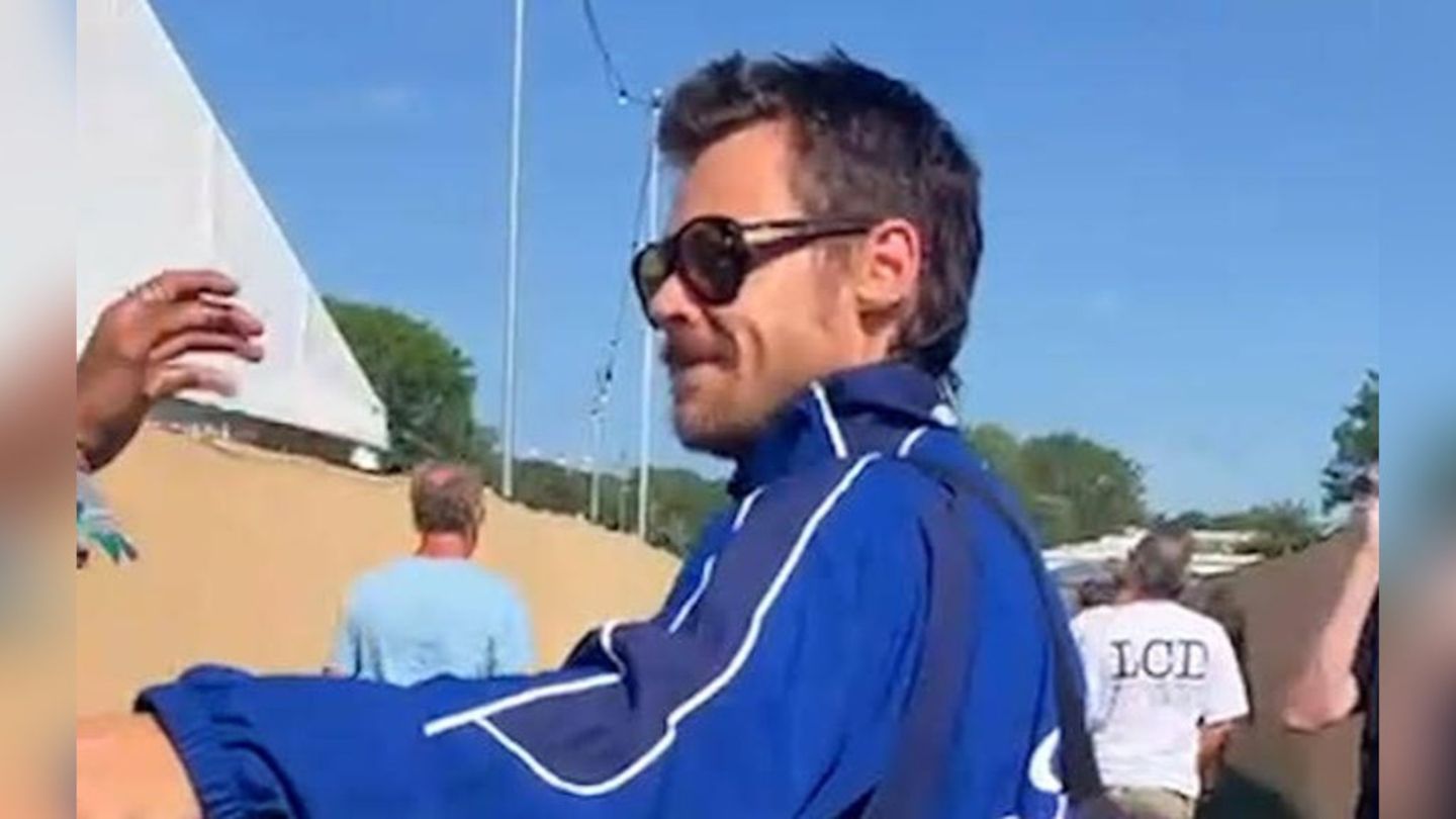 Harry Styles at the Berlin Marathon: These celebrities have already been tortured
