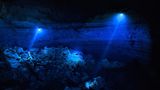 Meeresfotografie: Taucher in der Yab Yum Höhle, welche sich in der Dunkelheit mit ihren blauen Lampen von der Umgebung abheben