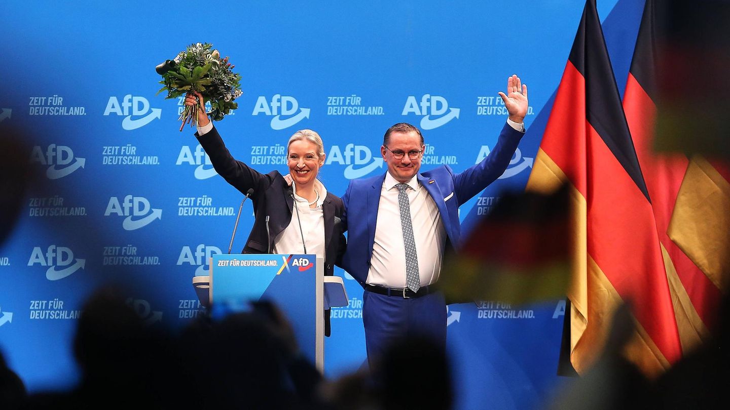 AfD in a new survey strongest power – Merz lubricates