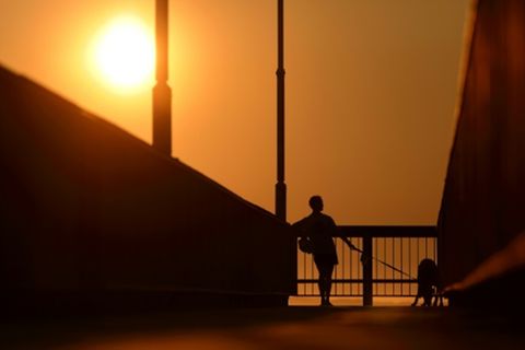 Goldener Abend