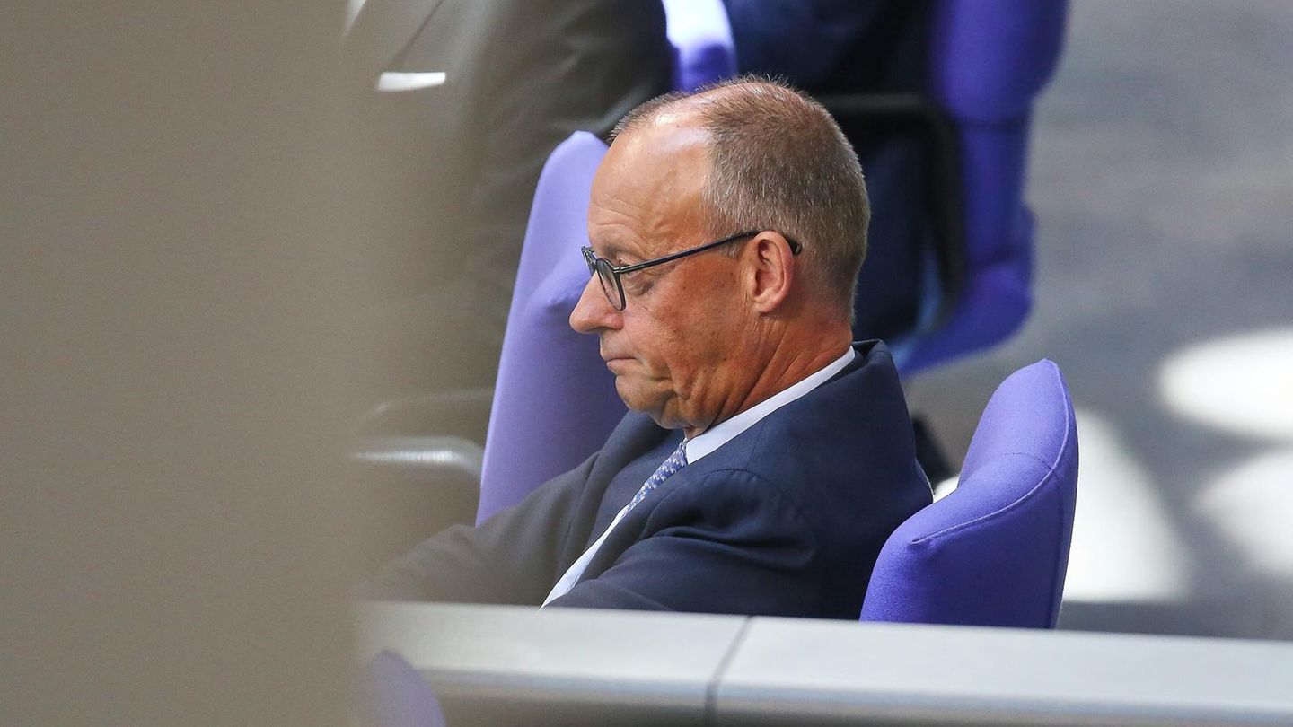 Friedrich Merz im Bundestag