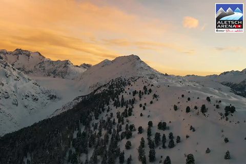 Alpengiganten im Blick: Ski-Highlights in der Aletsch Arena und auf der Belalp