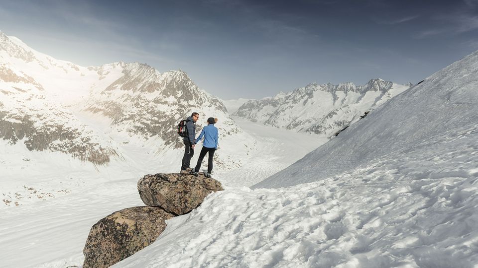 Ohne Skier unterwegs: Vom View Point Moosfluh genießt man einen freien Blick auf die eindrückliche Kurve des Grossen Aletschgletschers Vom View Point Moosfluh genießt man einen freien Blick auf die eindrückliche Kurve des Grossen Aletschgletschers