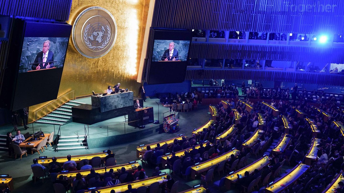 UN general debate live: Here you can see the speeches in the livestream