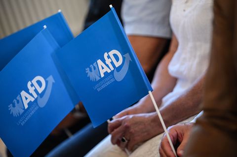 Laut einer Umfrage spricht sich die Mehrheit der Brandenburgerinnen und Brandenburger gegen eine Regierungsbeteiligung der AfD a
