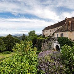 Österreich: Burg Bernstein, davor viele Bäume und Pflanzen