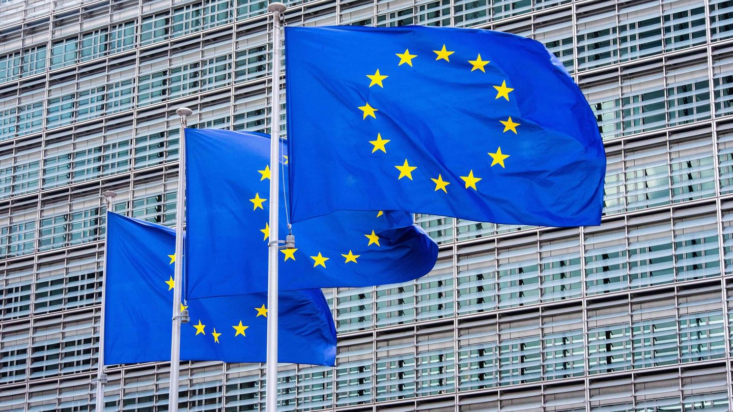 Die EU-Kommission verlang von vier großen Online-Plattformen Auskünfte. (Symbolbild) Foto: Alicia Windzio/dpa