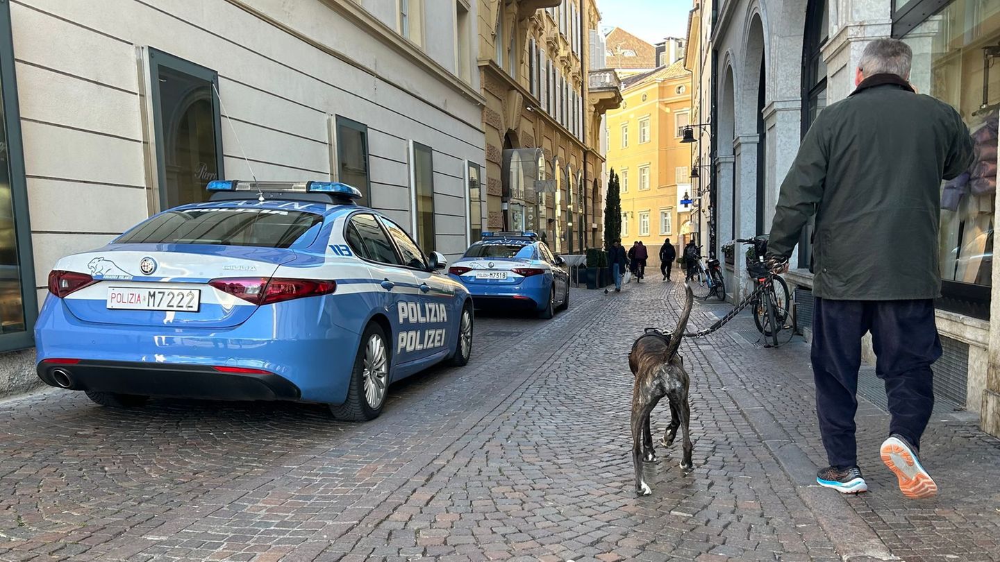 Südtirol will künftig von Hundehaltern eine Art Kurtaxe für ihre Vierbeiner verlangen. (Symbolbild) Foto: Christoph Sator/dpa