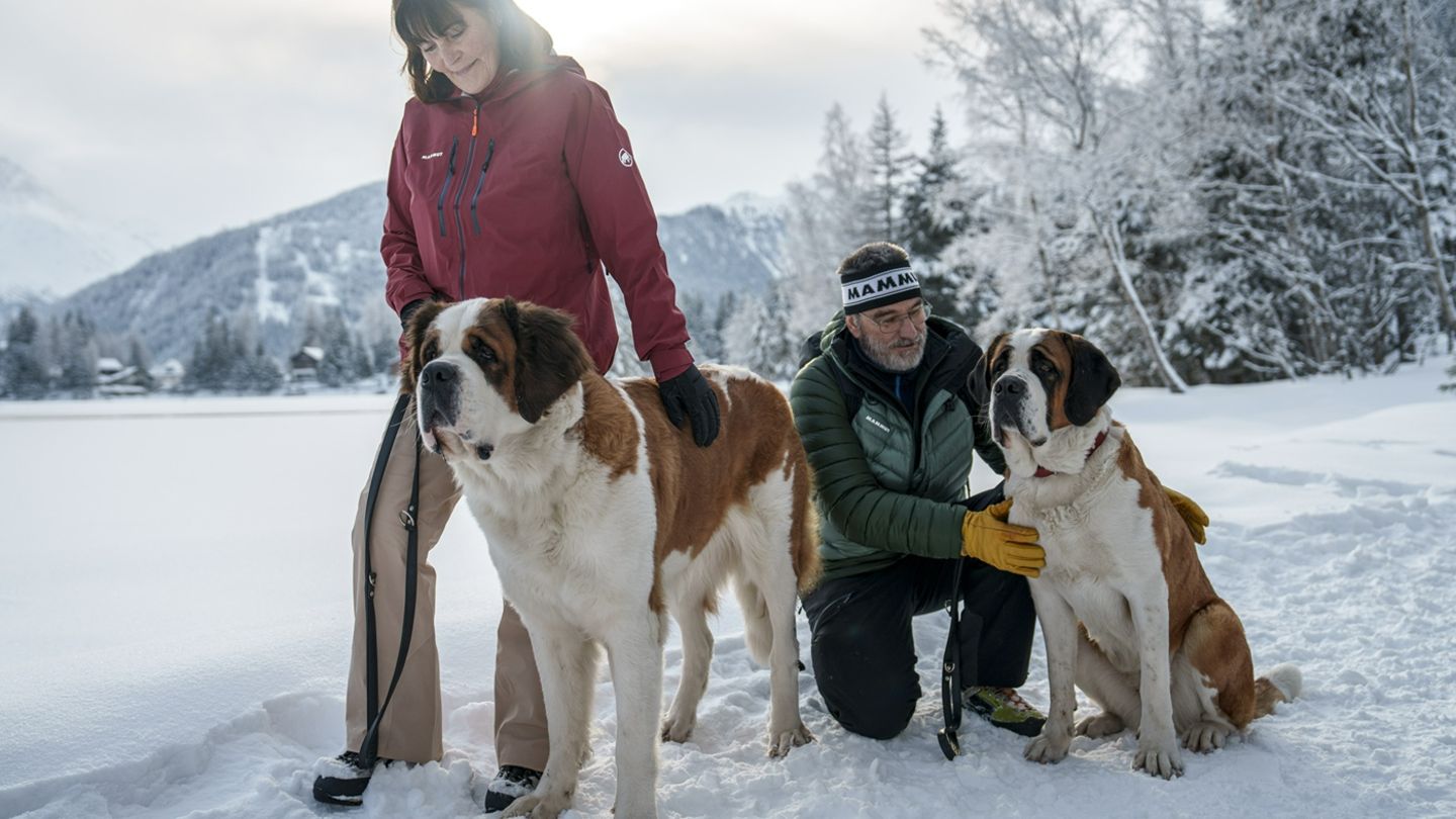 Der Bernhardiner ist der berühmteste Hund der Schweiz, weshalb ihm das Barryland gewidmet wurde