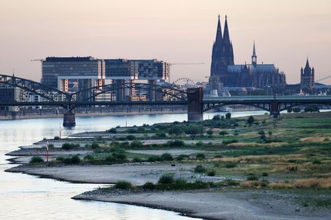 Köln wählt am Sonntag einen neuen Oberbürgermeister bzw. eine neue Oberbürgermeisterin. (Archivbild) Foto: Oliver Berg/dpa