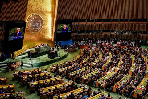 Trump vor der UN-Vollversammlung Foto: Kay Nietfeld/dpa