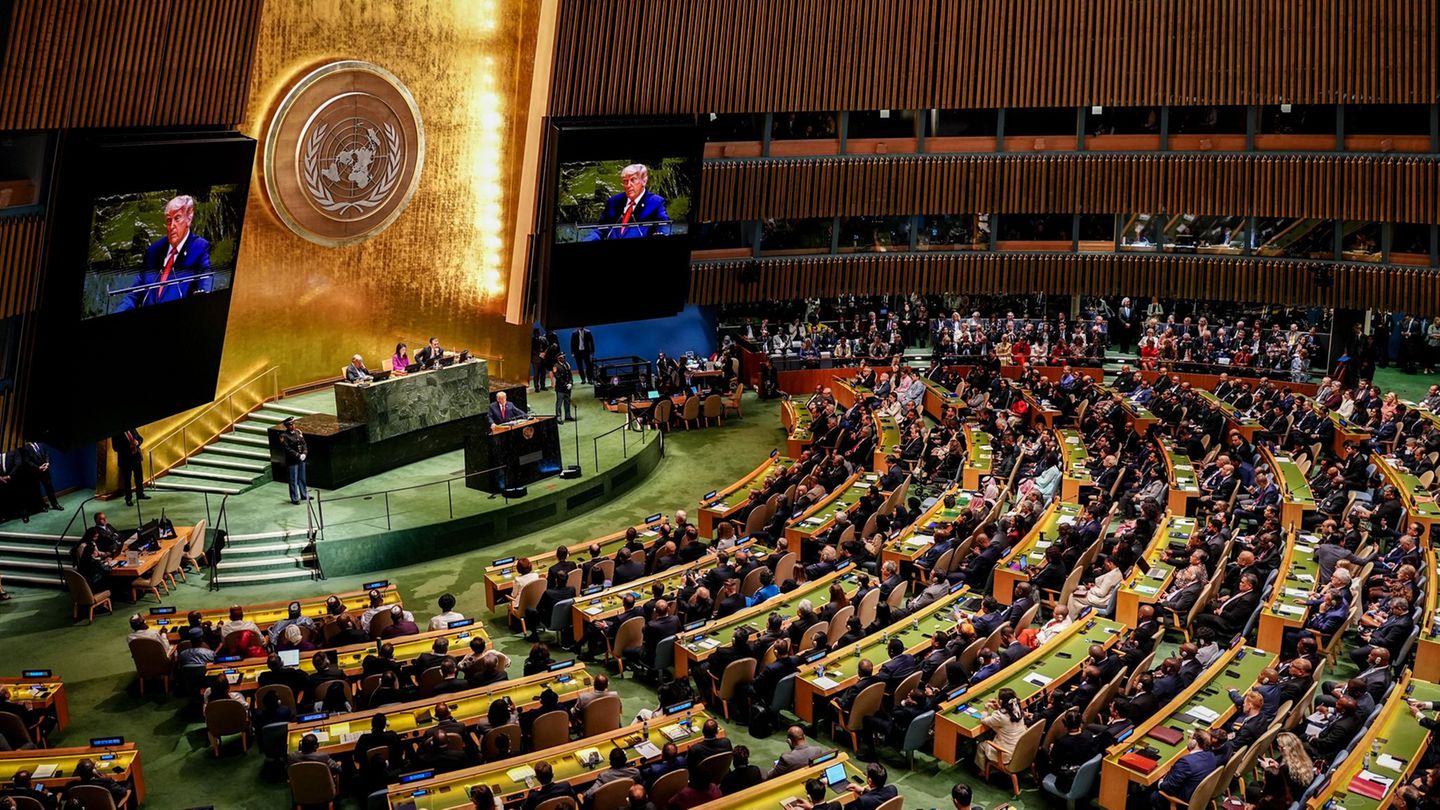 Trump vor der UN-Vollversammlung Foto: Kay Nietfeld/dpa