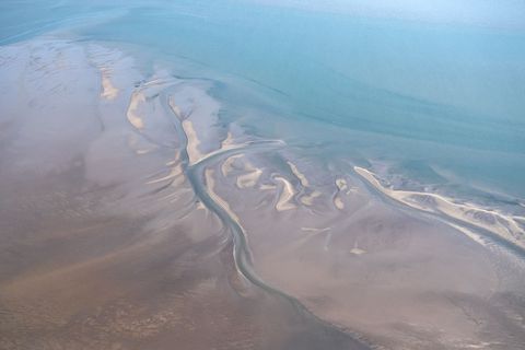 Hai-Experten haben in der Nordsee zwischen der ostfriesischen Insel Borkum und den westfriesischen Inseln in den Niederlanden ei