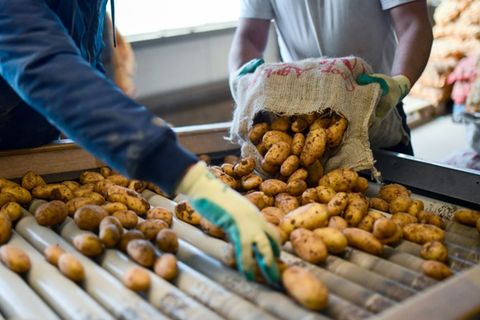 Kartoffeln